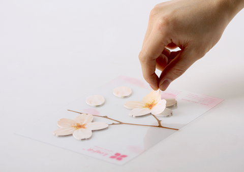 Cherry Blossom Sticky Notes L [2colors]