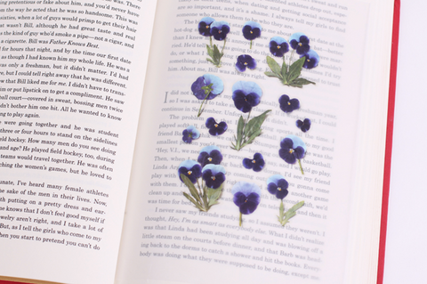 Pressed Flower Sticker [Pansy] | Printed Dried Flower Sticker