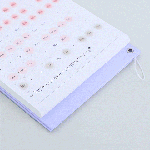 Do Weekly Daily Planner 100Days [4colors] | Desk Study Planner