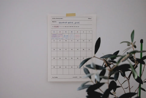 Daily Checking Habit 35days | 100sheets