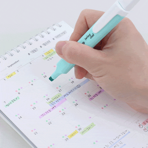 Do Weekly Daily Planner 100Days [4colors] | Desk Study Planner