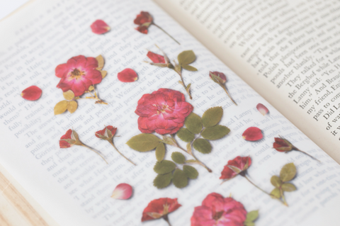 Pressed Flower Sticker [Mini Rose] | Printed Dried Flower Sticker