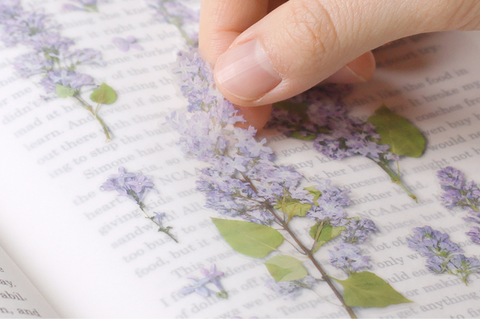 Pressed Flower Sticker [Lilac] | Printed Dried Flower Sticker