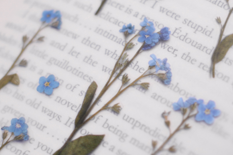 Pressed Flower Sticker [forget-me-not] | Printed Dried Flower Sticker