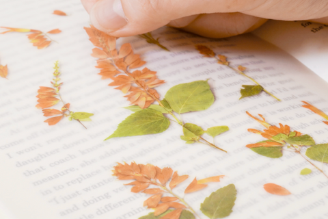 Pressed Flower Sticker [Salvia] | Printed Dried Flower Sticker