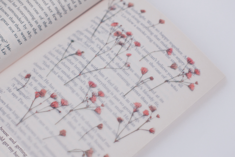 Pressed Flower Sticker [Baby's breath] | Gypsophila Printed Dried Flower Sticker