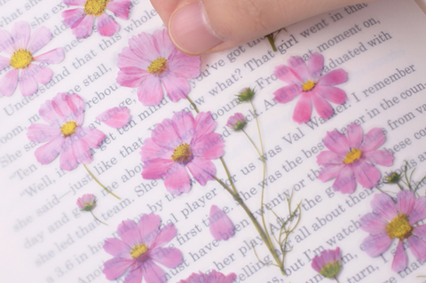 Pressed Flower Sticker [Cosmos] | Printed Dried Flower Sticker