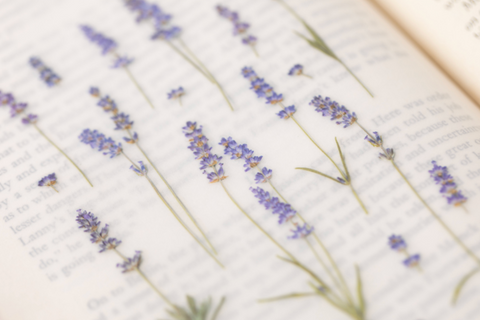 Pressed Flower Sticker [Lavender] | Printed Dried Flower Sticker