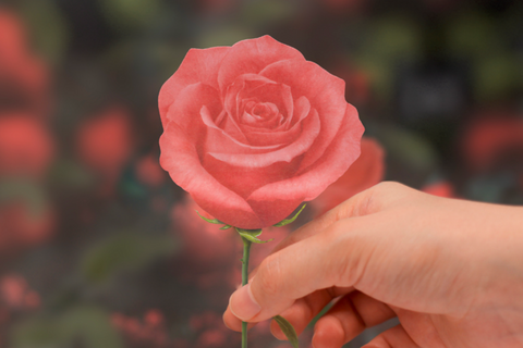 Rose Sticky Notes S [2colors]