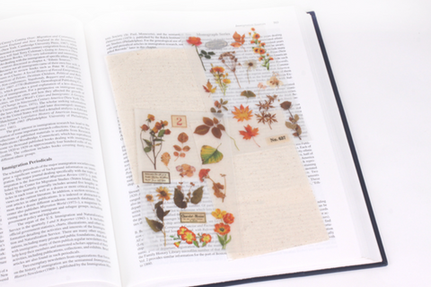 Rub-on Flower Sticker [Botanical Orange] | Printed Dried Flower Sticker