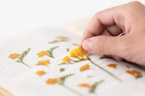 Pressed Flower Sticker [Freesia] | Printed Dried Flower Sticker