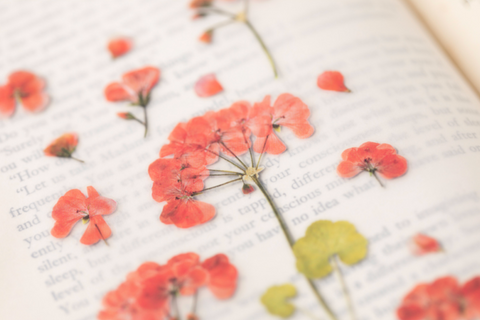 Pressed Flower Sticker [Geranium] | Printed Dried Flower Sticker