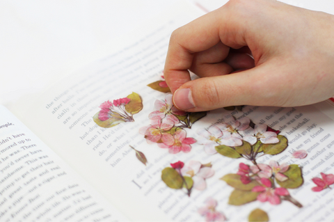 Pressed Flower Sticker [Apple Blossom] | Printed Dried Flower Sticker