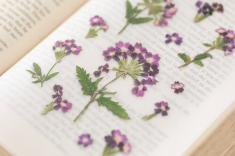 Pressed Flower Sticker [Verbena] | Printed Dried Flower Sticker