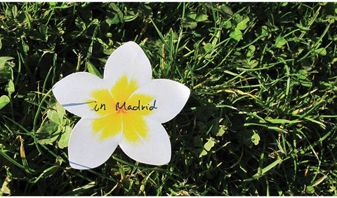 Plumeria Sticky Notes | Flower