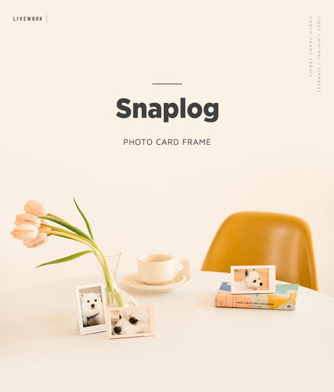 Snaplog Photocard Frames [5colors]
