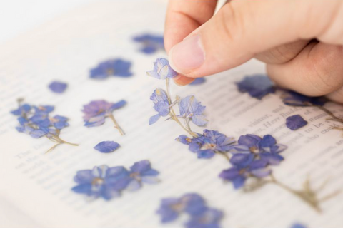 Pressed Flower Sticker [Larkspur] | Printed Dried Flower Sticker