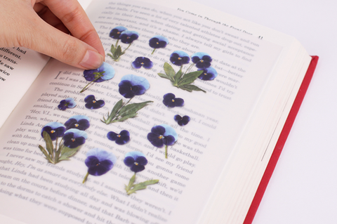 Pressed Flower Sticker [Pansy] | Printed Dried Flower Sticker