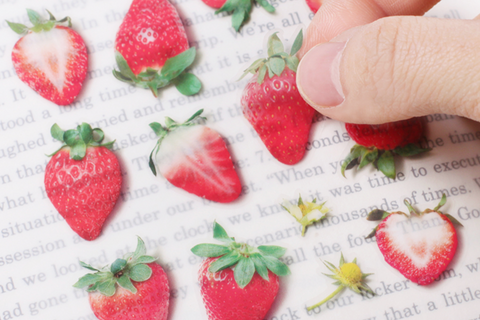 Fruit Seal Sticker [Strawberry]