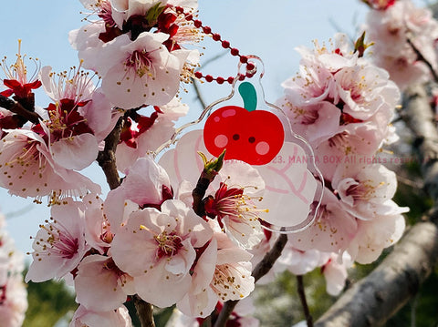 Cherry Acrylic Diary Charm | Key Rings