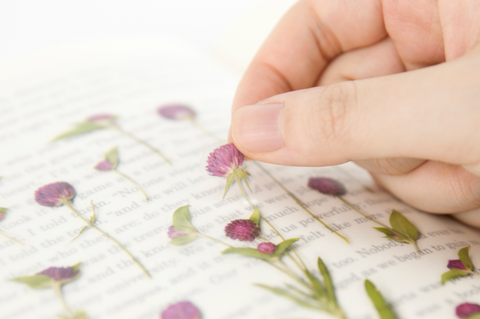 Pressed Flower Sticker [Globe Amaranth] | Printed Dried Flower Sticker