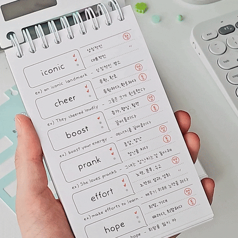 ICONIC Blah Blah Word Notebook [4colors] | Word Book | Vocabulary