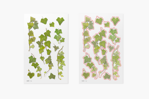 Pressed Flower Sticker [ivy] | Printed Dried Flower Sticker