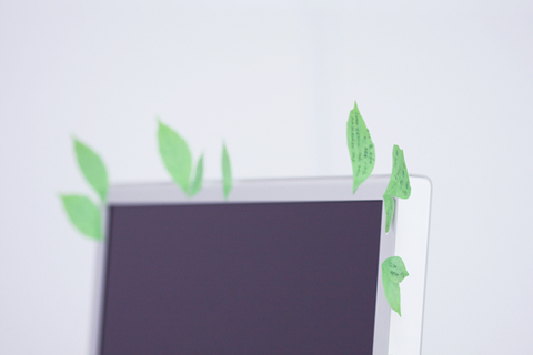 Birch Leaf Sticky Notes L [2colors]