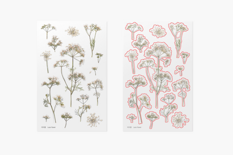 Pressed Flower Sticker [Lace Flower] | Printed Dried Flower Sticker