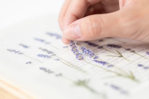 Pressed Flower Sticker [Lavender] | Printed Dried Flower Sticker