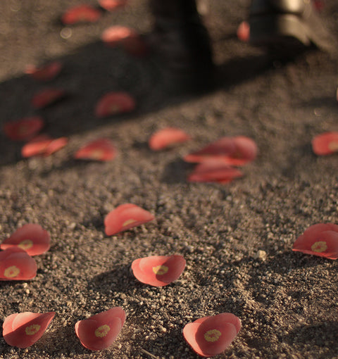 Camellia Sticky Notes S [2colors]