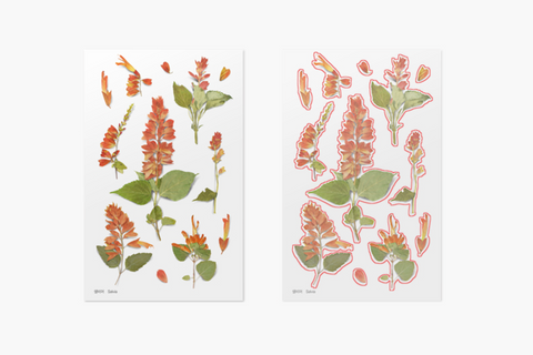 Pressed Flower Sticker [Salvia] | Printed Dried Flower Sticker
