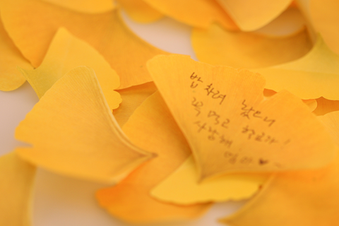 Ginkgo Sticky Notes L [2colors]