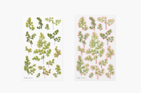 Pressed Flower Sticker [Adiantum] | Printed Dried Flower Sticker