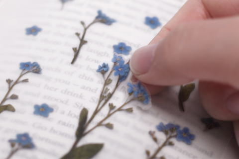 Pressed Flower Sticker [forget-me-not] | Printed Dried Flower Sticker