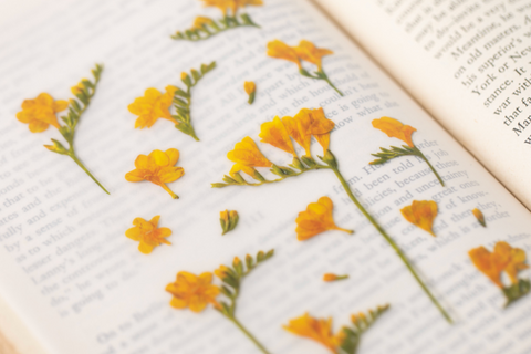 Pressed Flower Sticker [Freesia] | Printed Dried Flower Sticker