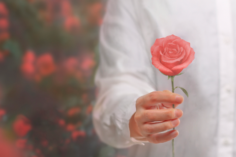 Rose Sticky Notes S [2colors]