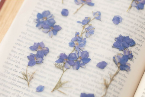 Pressed Flower Sticker [Larkspur] | Printed Dried Flower Sticker