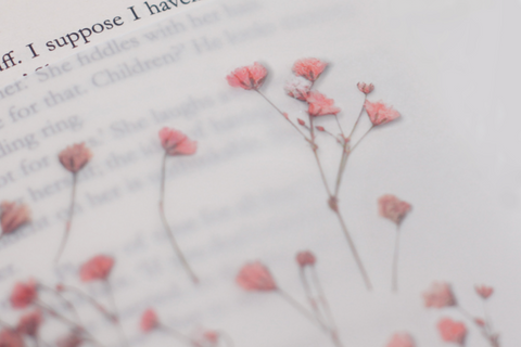 Pressed Flower Sticker [Baby's breath] | Gypsophila Printed Dried Flower Sticker