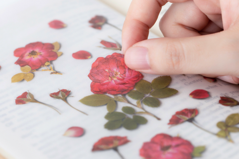 Pressed Flower Sticker [Mini Rose] | Printed Dried Flower Sticker
