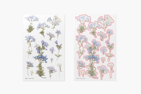 Pressed Flower Sticker [Moss Phlox] | Printed Dried Flower Sticker