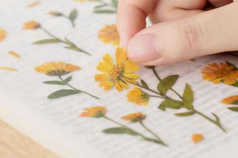 Pressed Flower Sticker [Calendula] | Printed Dried Flower Sticker