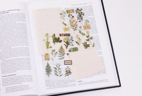 Rub-on Flower Sticker [Botanical Green] | Printed Dried Flower Sticker