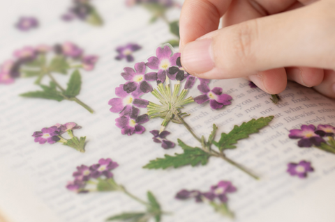 Pressed Flower Sticker [Verbena] | Printed Dried Flower Sticker