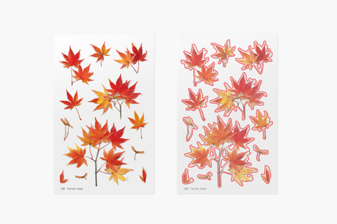 Pressed Flower Sticker [Palmate Maple] | Printed Dried Flower Sticker