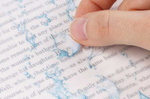 Nature Seal Sticker [Water Spray]