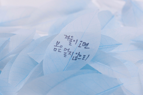 Birch Leaf Tracing Sticky Notes S [2colors]