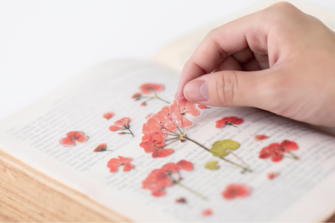 Pressed Flower Sticker [Geranium] | Printed Dried Flower Sticker