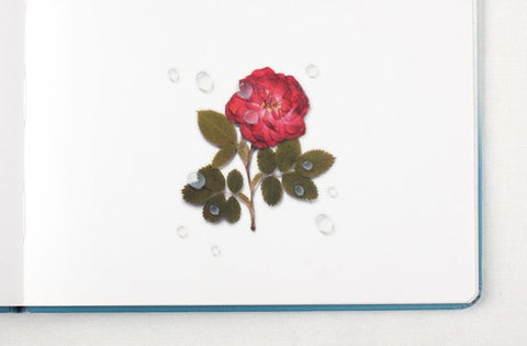 Nature Seal Sticker [Water Drop]