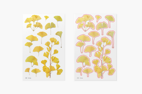 Pressed Flower Sticker [Ginkgo] | Printed Dried Flower Sticker